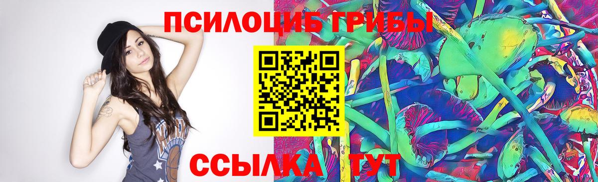 Галлюциногенные грибы Psilocybine cubensis  где купить наркоту  Пушкино  Вход с VPN  Галлюциногенные грибы Psilocybine cubensis 